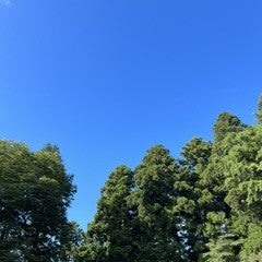 閉店のお知らせ：Information