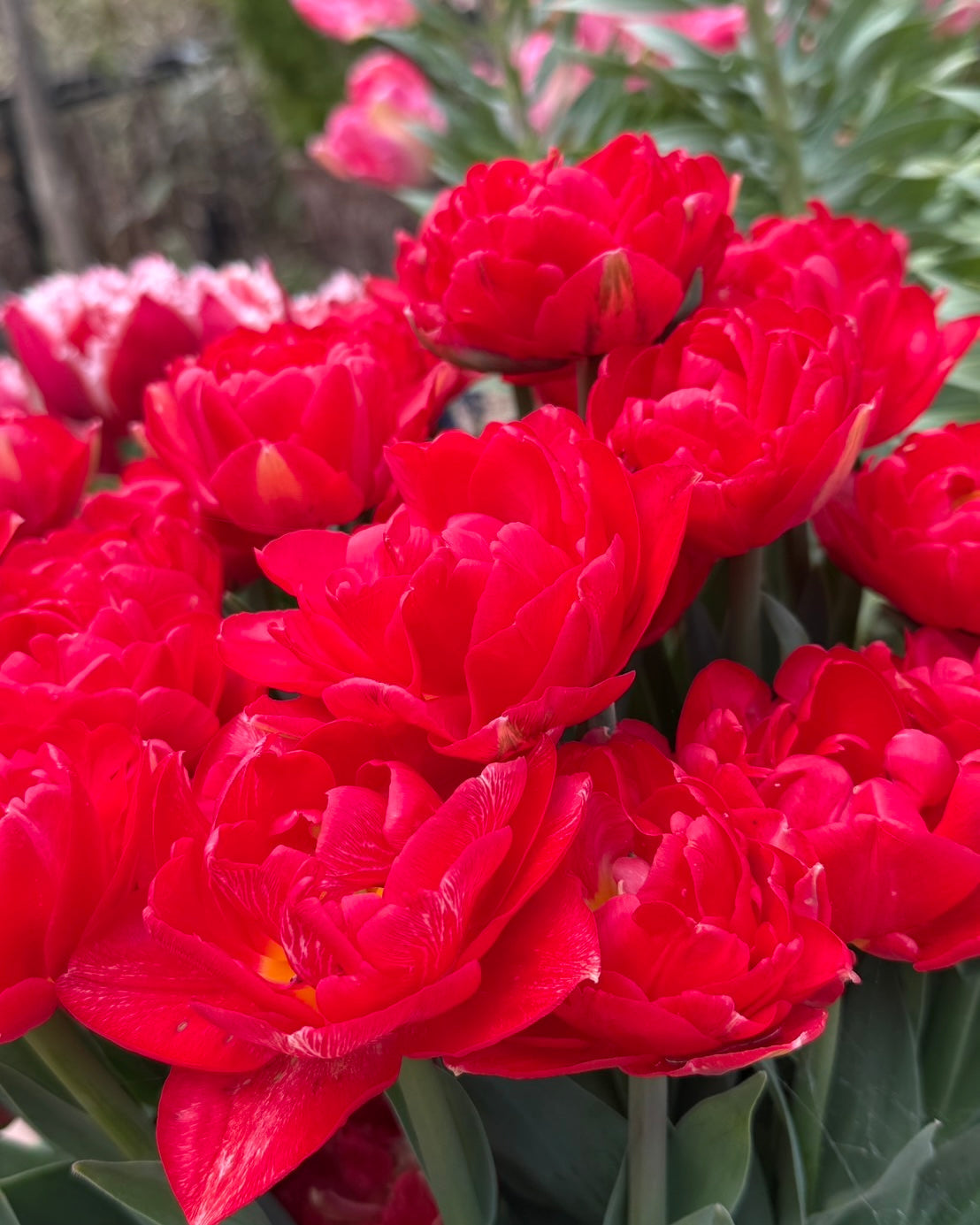 相変わらず暑い。。